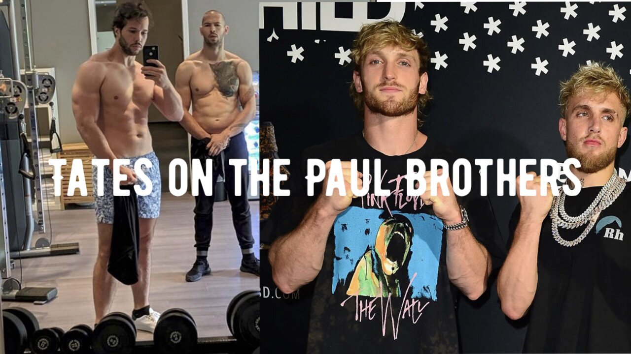 Andrew Tate on the Paul Brothers