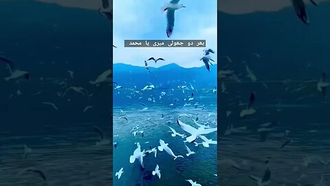 Atif Aslam | #atifaslamsongs #atifaslamstatus