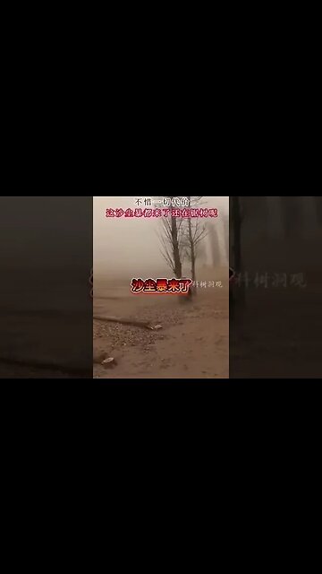 Farmer Cuts Down Trees to Facilitate the CCP's “Turning the Forests into Farmland" Policy