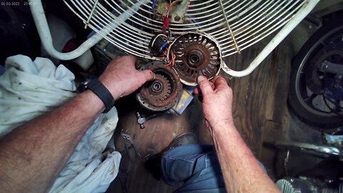 Back to the fan