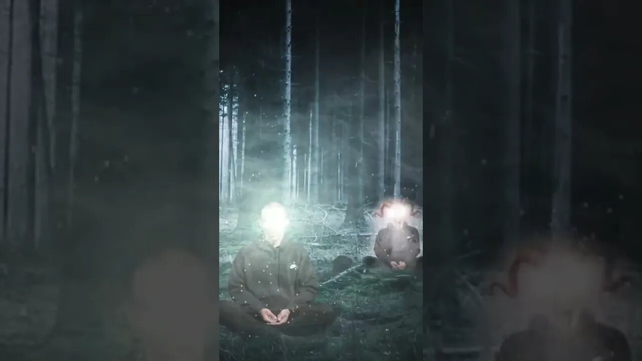 Magical Forest #shorts #vfx