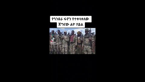 የአማራ ፋኖ በጎንደር :