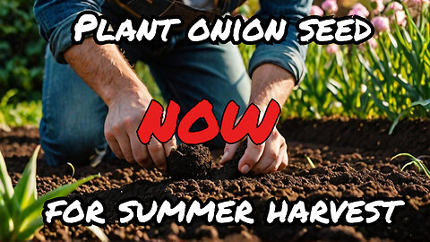 Plant onion seed NOW for summer harvest!