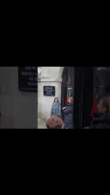 Oi she said to the Horse #horseguardsparade