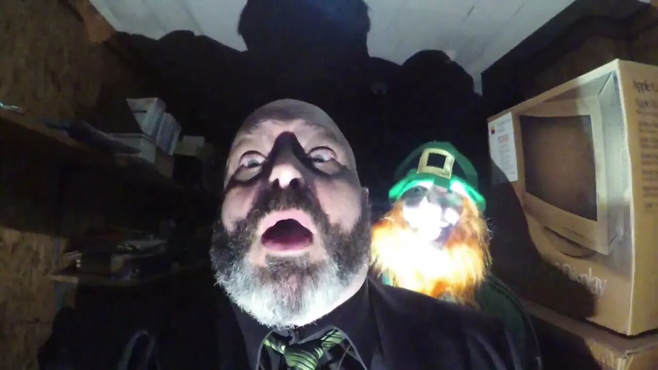 Leprechaun (Part 2) (Must See) #shortvideo #viralshorts