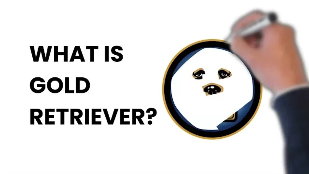 What is $GLDN (Gold Retriever)? Explained With Funny Animations