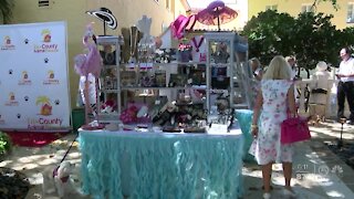 Moms & Pups Bark and Brunch fundraiser held in Boca Raton