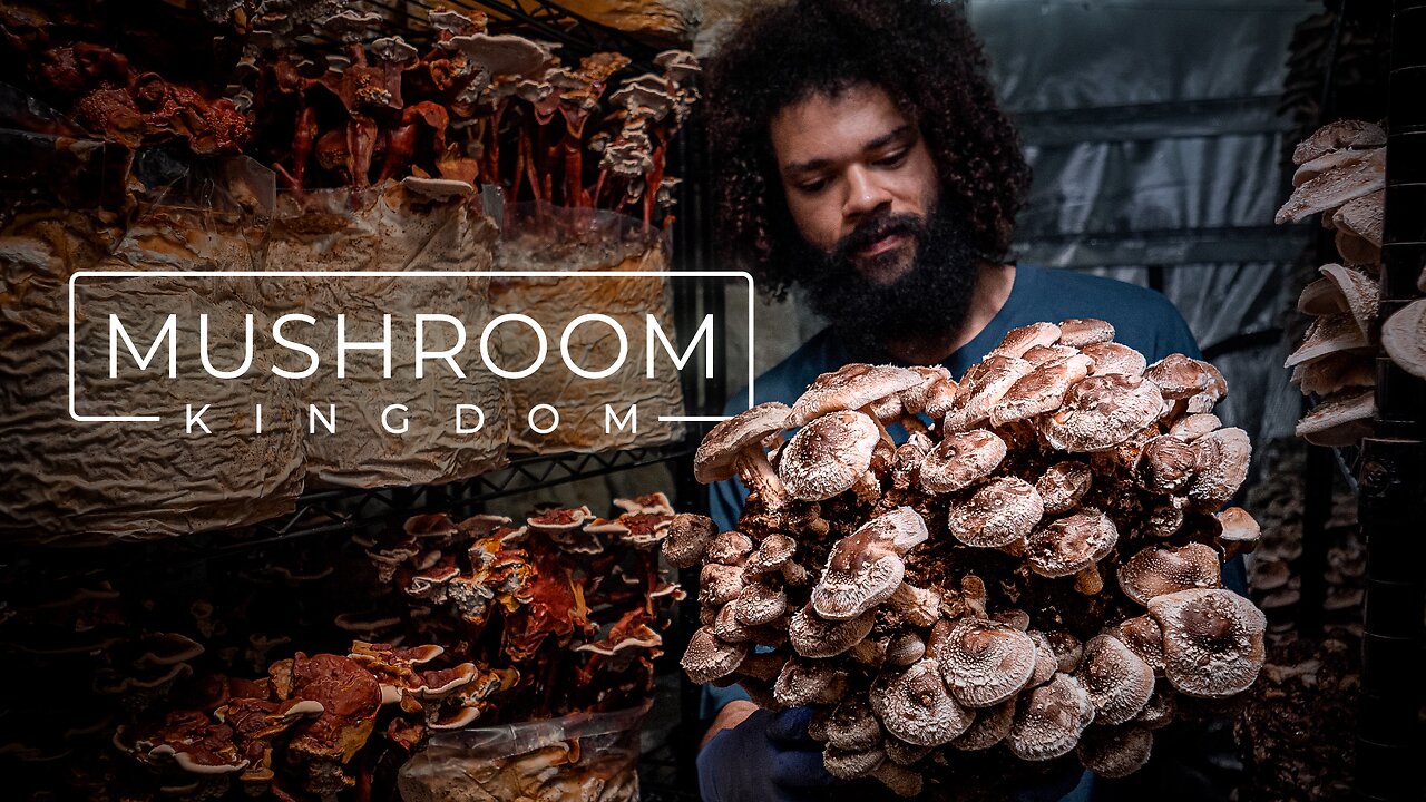 Cultivating Gourmet and Medicinal Mushrooms | PARAGRAPHIC