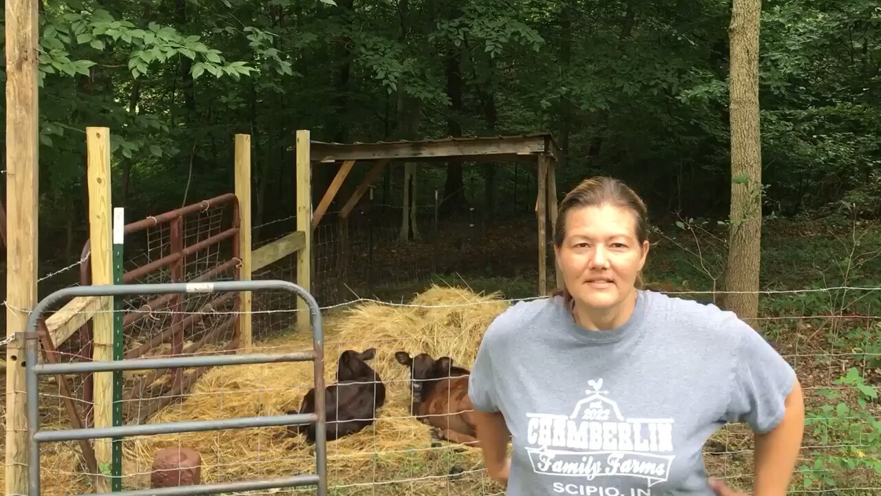 Adding to the compost and processing duck