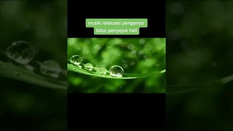 "Harmoni Alam: Musik Relaksasi untuk Menenangkan Pikiran"