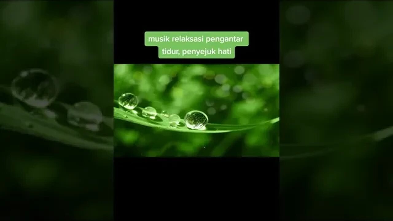 "Harmoni Alam: Musik Relaksasi untuk Menenangkan Pikiran"