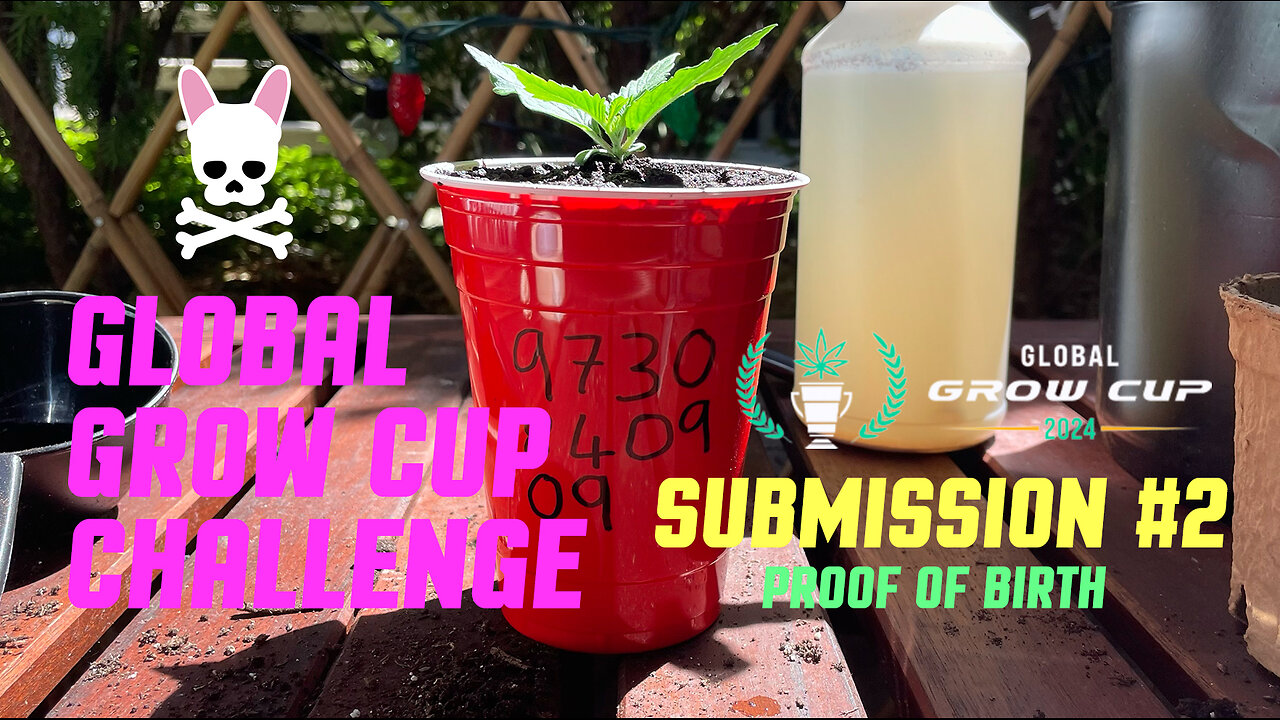 Global Grow Cup Challenge 2024 - Submission #2: Proof of Birth