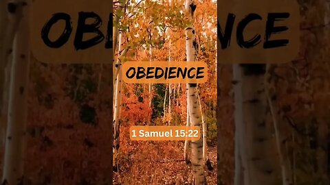 TODAY’S WORD: OBEDIENCE🕊🐑🚶