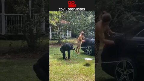macaco lavando o carro