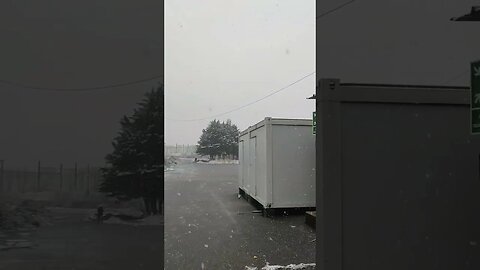 Snow fall dijon #shorts #shortsvideo
