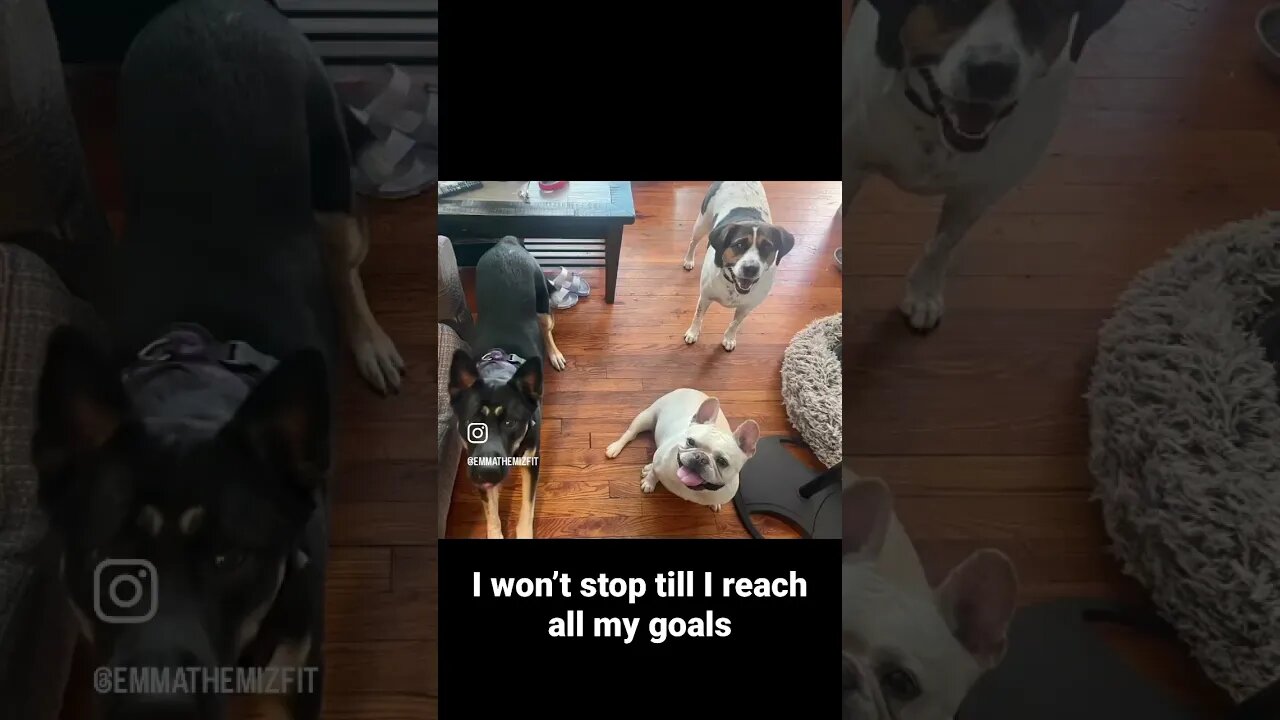 My Recap of 2022 and how I will not stop till I reach all my goals.