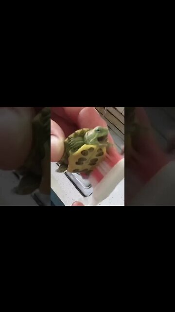 This Is just Too Cute...