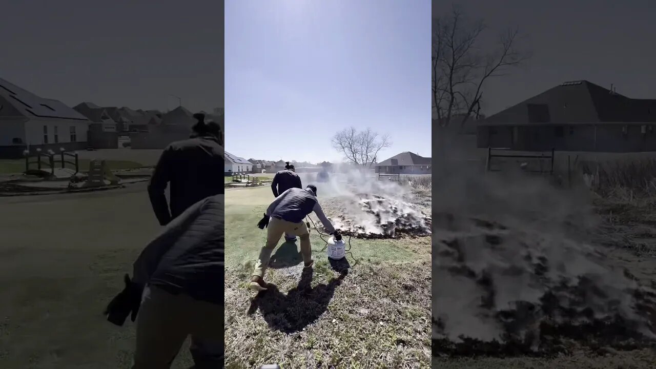 Burning My Lawn