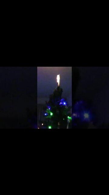 Our Beautiful Christmas Tree #Shorts 🎄