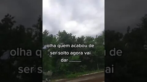 OLHA QUEM ACABOU DE SER SOLTO #bolsonaro #lula #stf #memes #pm #viral #comedia #rir #shorts