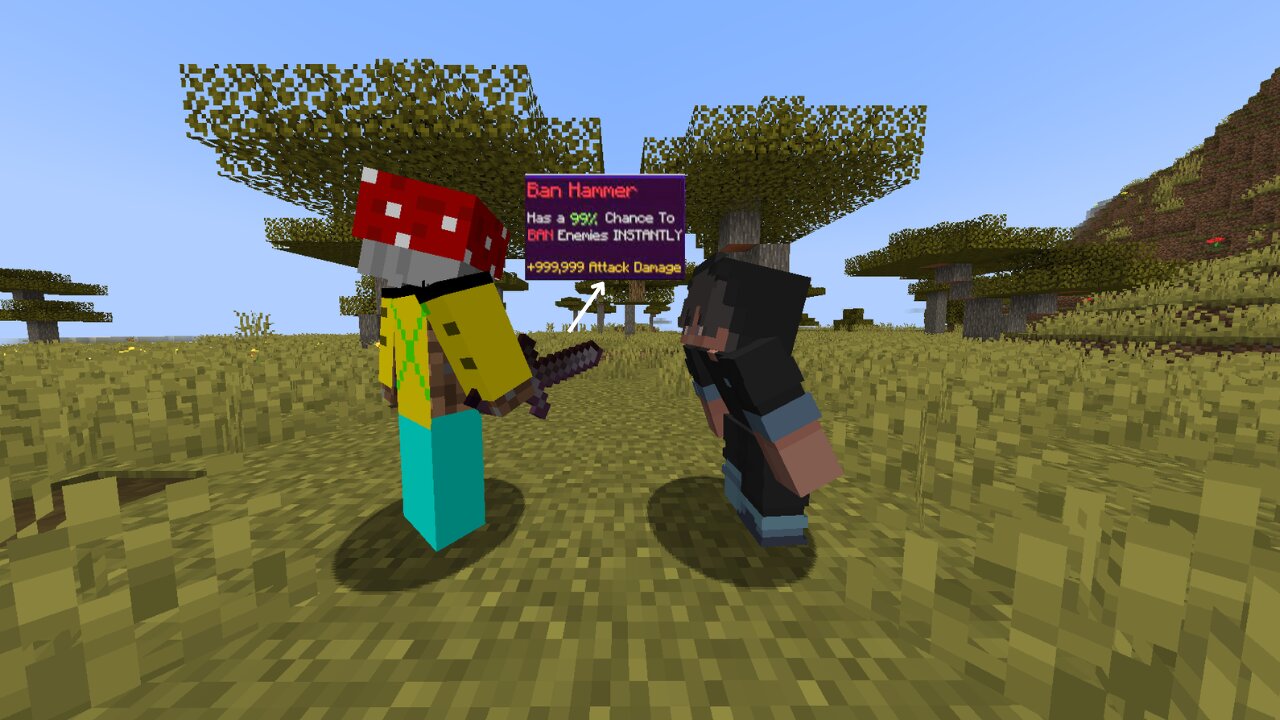 They banned me on this smp......