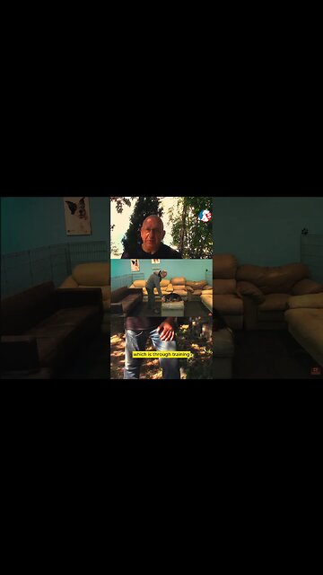 Does your dog TRUST you?