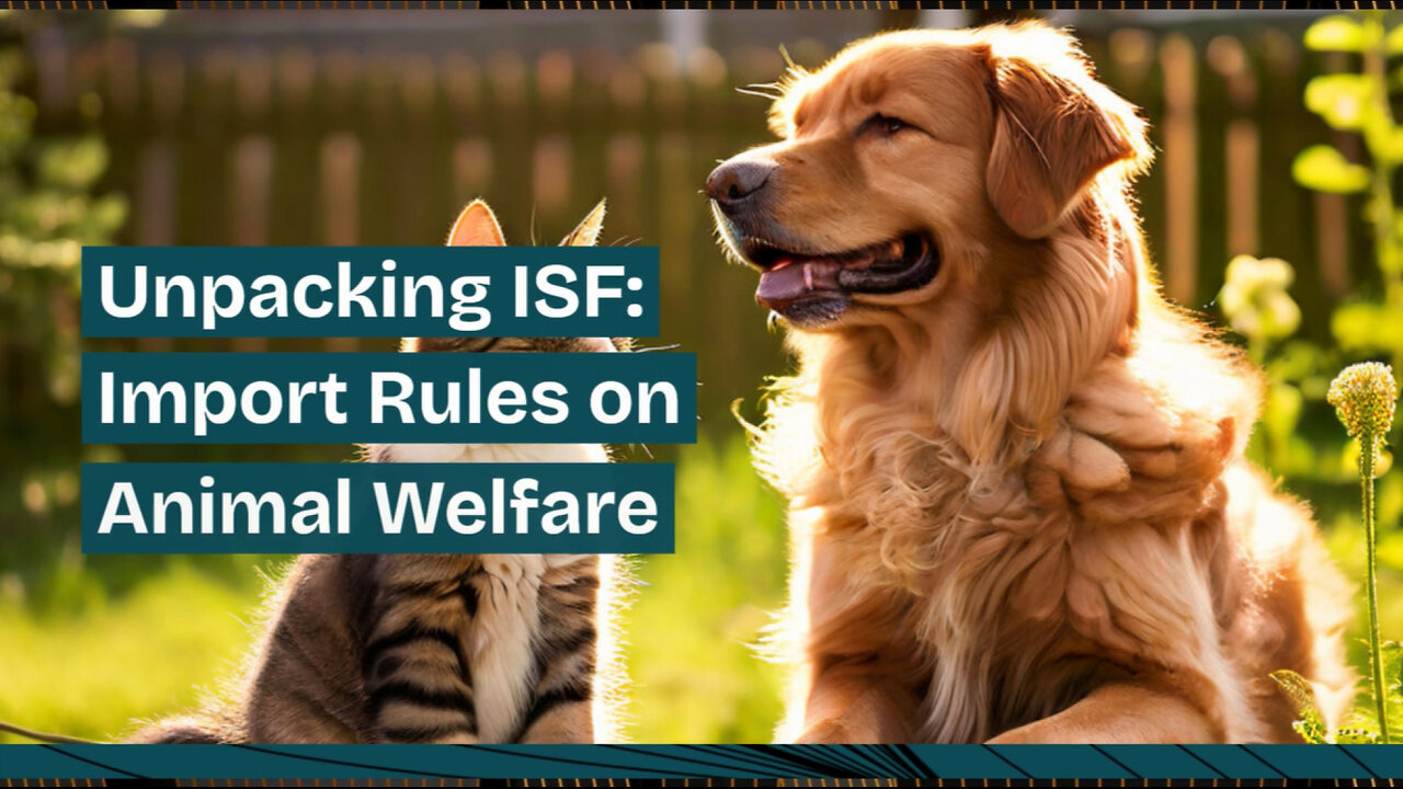 Navigating Importer Security Filing for Goods with Animal Welfare Restrictions