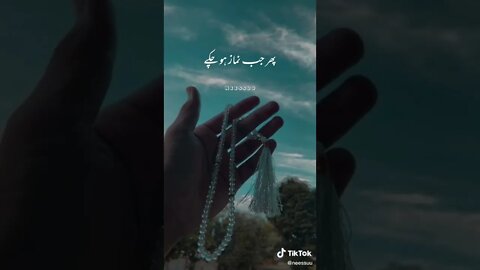 Find 'islamic' on TikTok TikTok Search 9