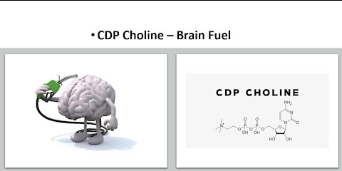 CDP Choline - Brain Fuel