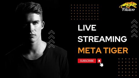 Meta Tiger live plan share #MetaTiger #challenge #blockchain