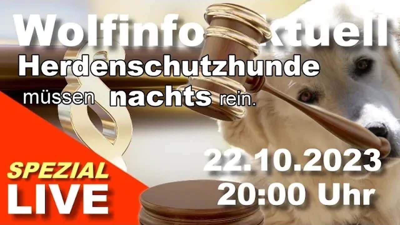 Wolfinfo Aktuell SPEZIAL LIVE (Herdenschutzhunde müssen nachts rein. )