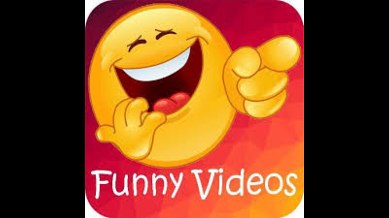 Top best funny videos for 2022