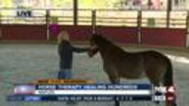 Horse therapy healing hundreds in Naples - 8:30am live report