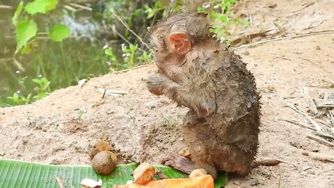 Oh My Goodness! baby kley rises from the ground to eat-18