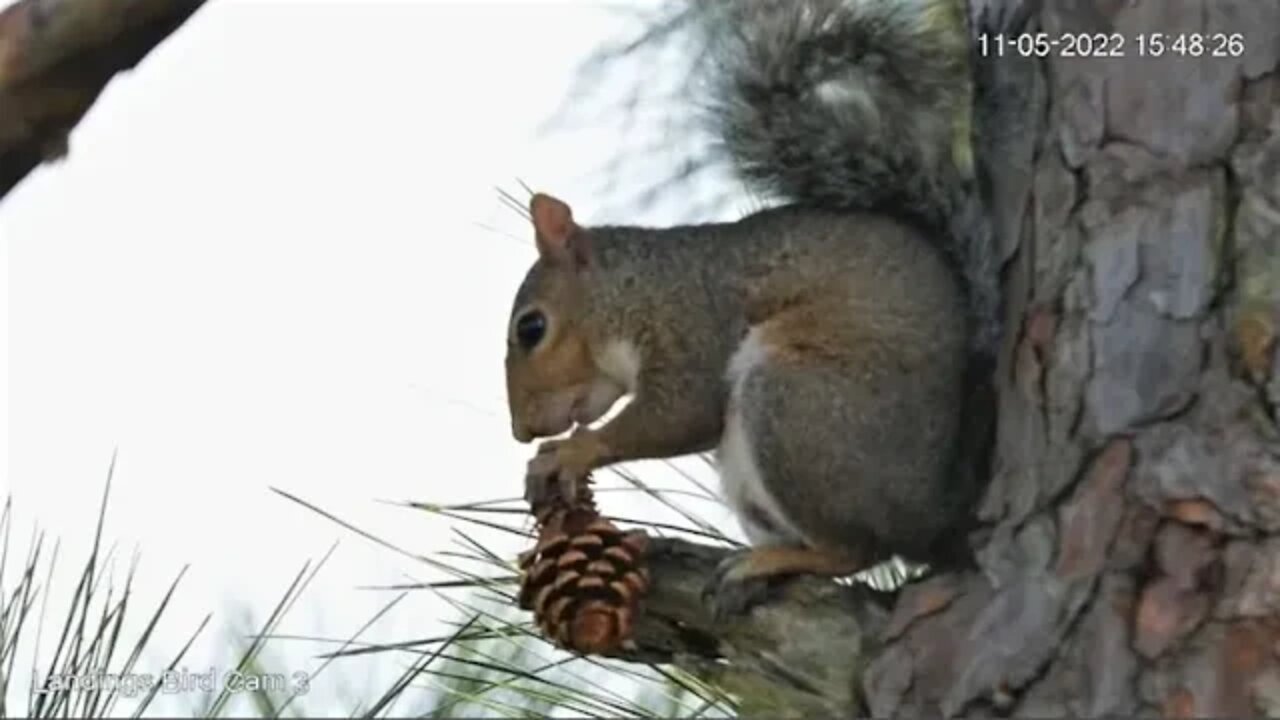 "Table For One?" "Yes, Please" 🌲 11/05/22 15:46