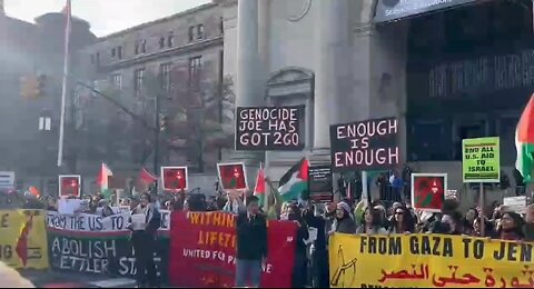 Pro-Hamas Protesters Outside American Museum of Natural History in NYC