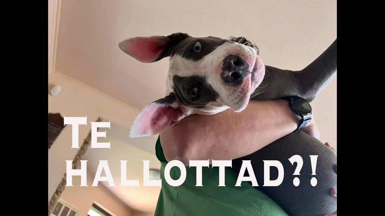 Hallottad mi történt??!!