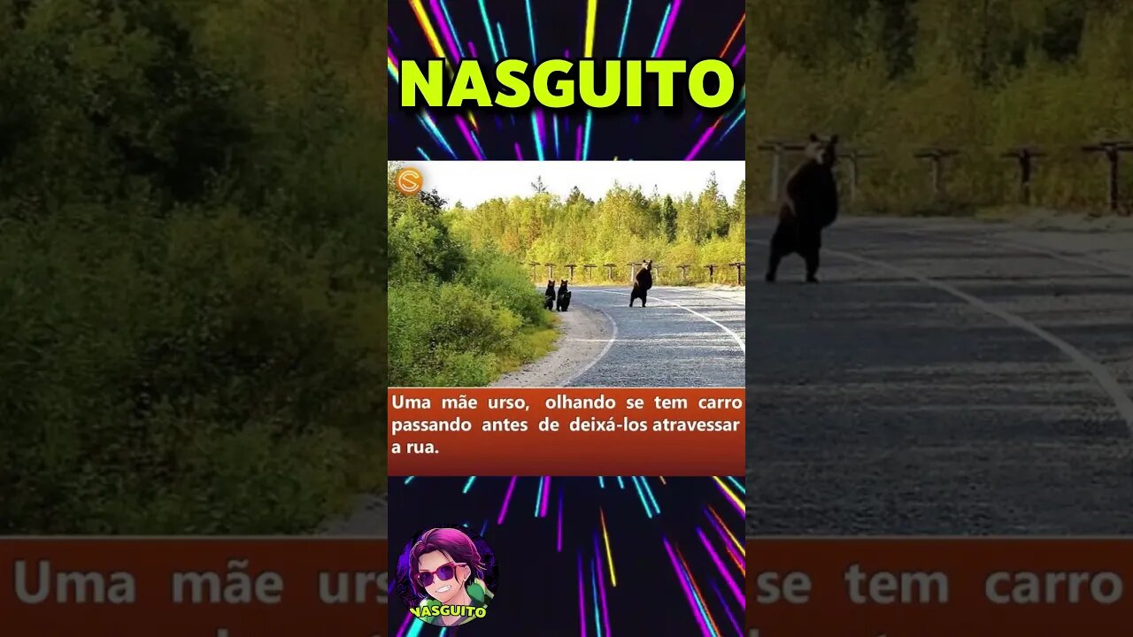 ARRUMEI UMA NAMORADA E...