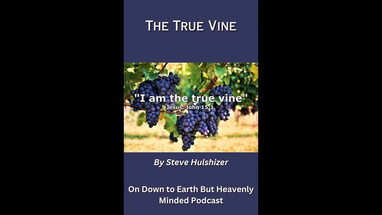 The True Vine, By Steve Hulshizer On Down to Earth But Heavenly Minded Podcast