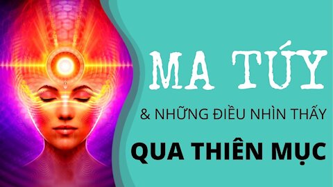 【 CUỘC TRUY KÍCH CẦN SA LỚN NHẤT ÚC CHÂU & NHỮNG ĐIỀU NHÌN THẤY QUA THIÊN MỤC 】