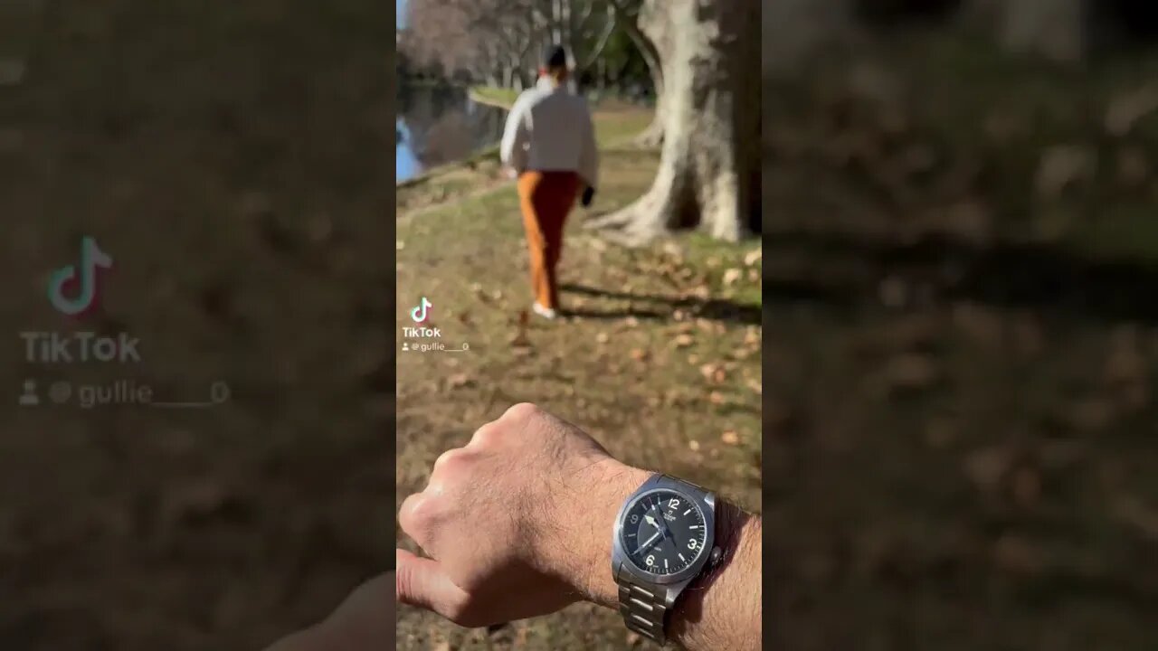 Tudor Ranger 🏞️#watch #collection #ranger