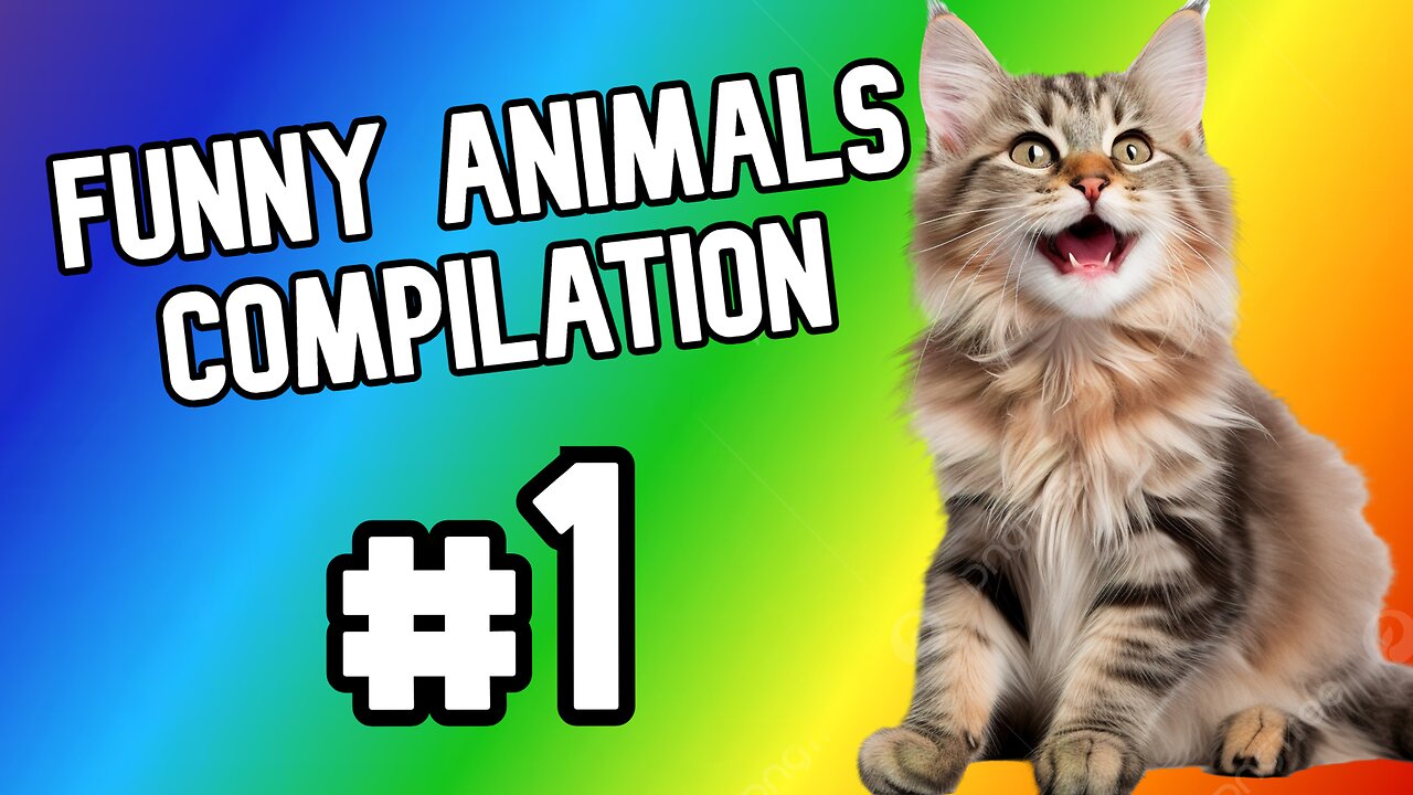 FUNNY ANIMALS COMPILATION #1 🥰🤣