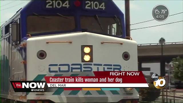 Coaster train kills woman and her dog