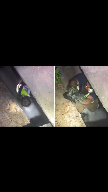 Firefighters rescue kitten from storm drain in Florida Panhandle