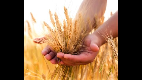 20230910 SIFTING THE WHEAT (MINISTER DEREK HALLETT)