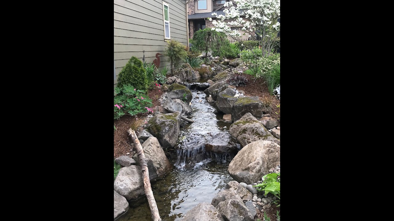 Pond Preview