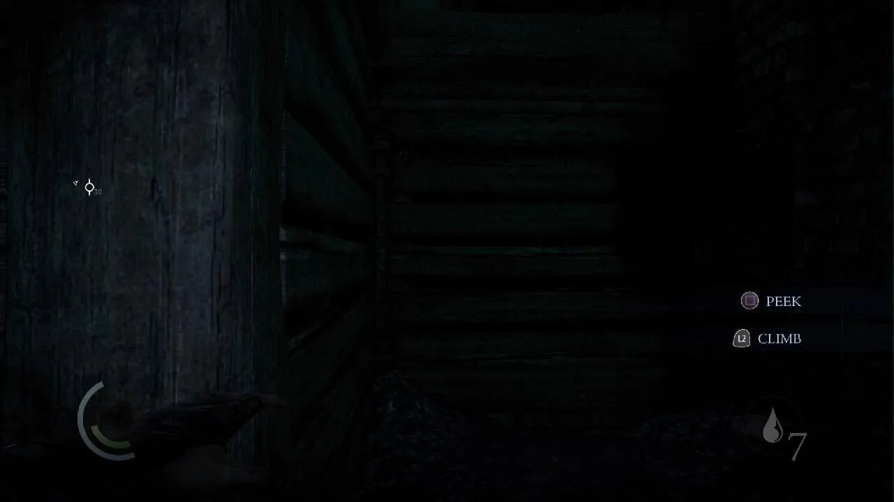 Thief Part 6 The Ring Found In Guts