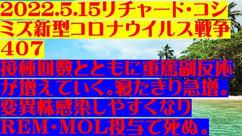 2022.5.15リチャード・コシミズ新型コロナウイルス戦争４０７