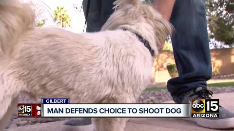 Valley man shoots dog during attack in Gilbert