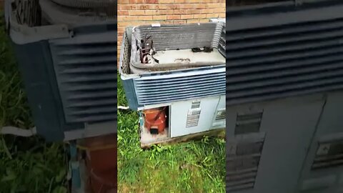 American standard package heat pump leaking refrigerant #hvac #leaking #hvacservice